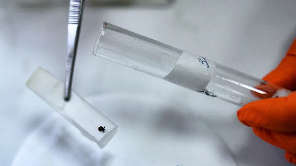 Фото: РИА Новости/Павел Лисицын