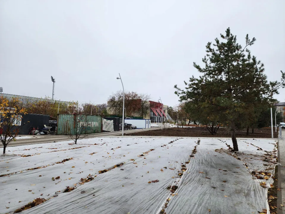 Фото: REGIONS/Ольга Аввакумова