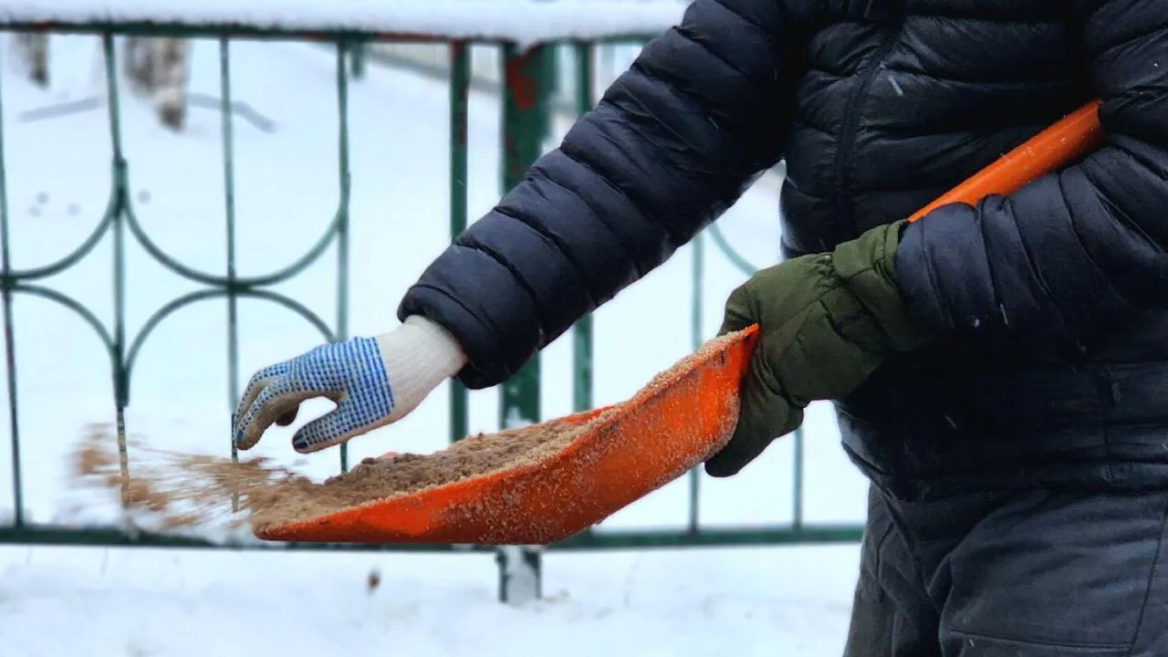 МедиаБанк Подмосковья/Мария Овчинникова