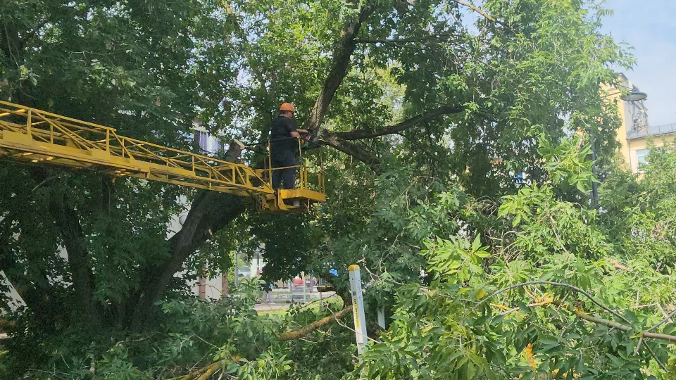 Ольга Шеметова