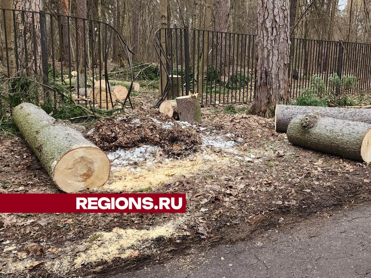 Фото: Артем Мишуков