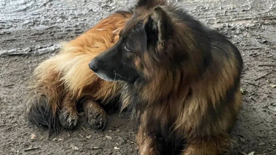 Фото: Ирина Фаустова