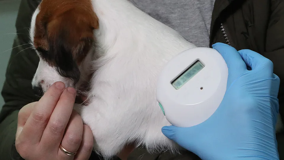 Фото: ТАСС/Сергей Карпухин