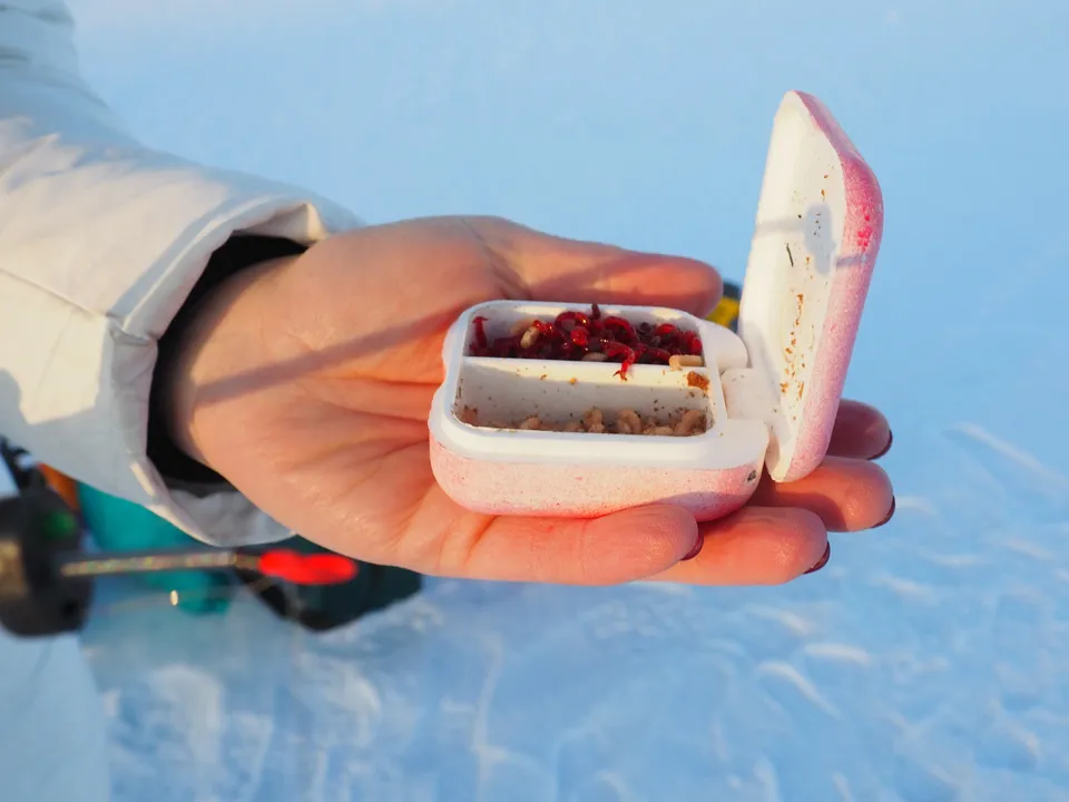 Фото: istockphoto.com/Iuliia Petrovskaia&nbsp;