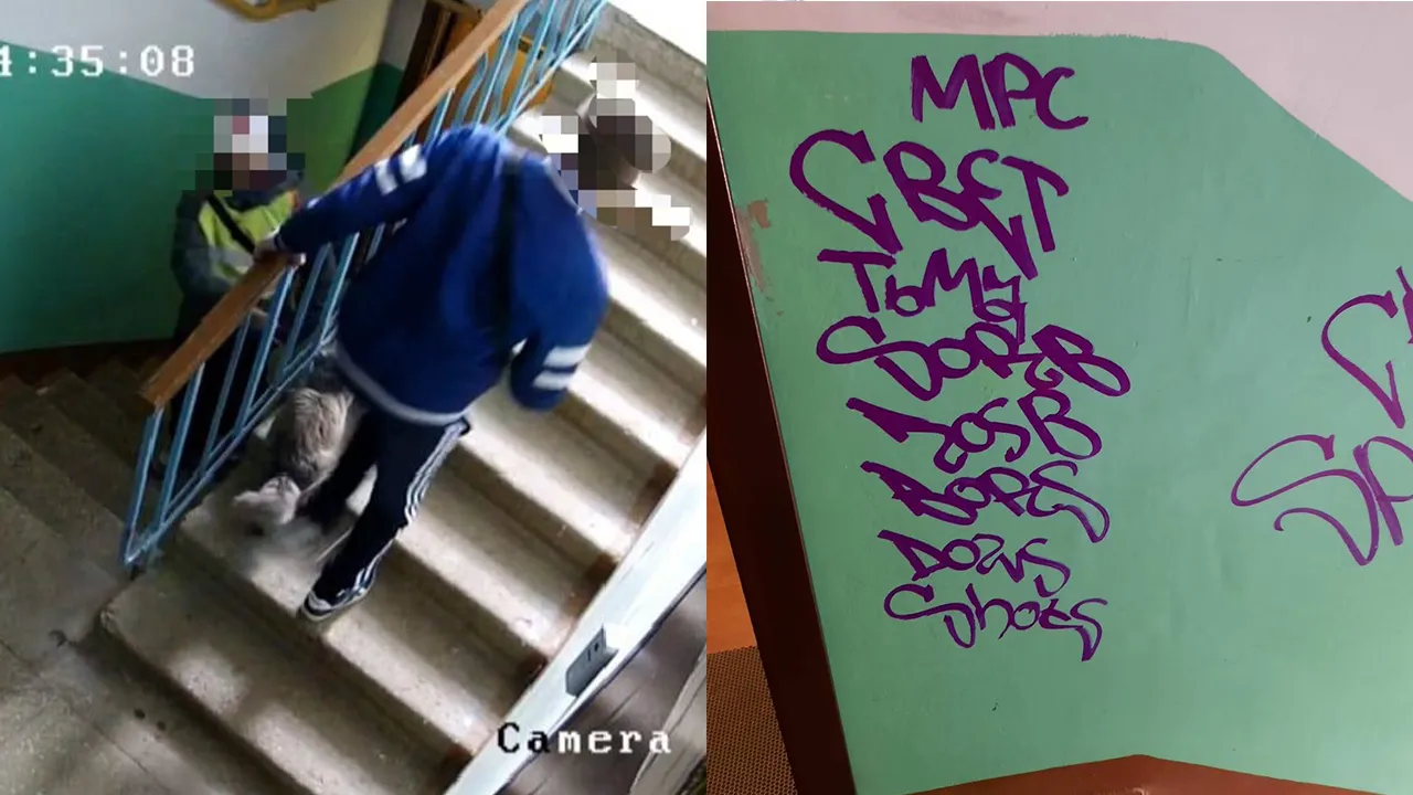 vk.com/fryazinointro