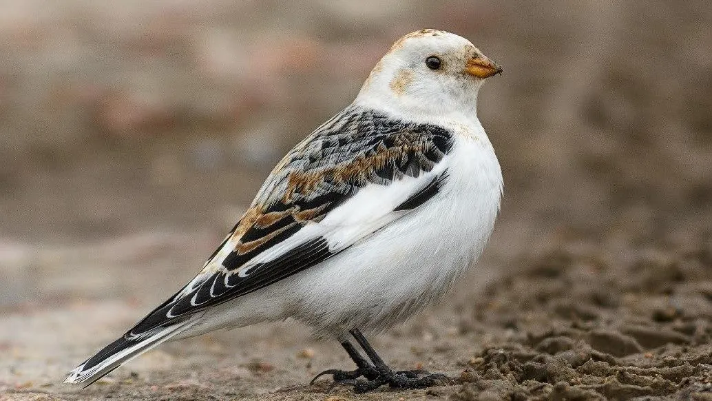 фото: Комитет лесного хозяйства