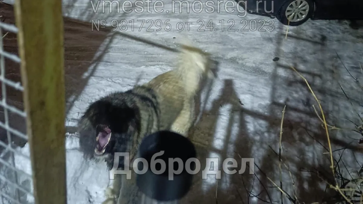 фото: Добродел