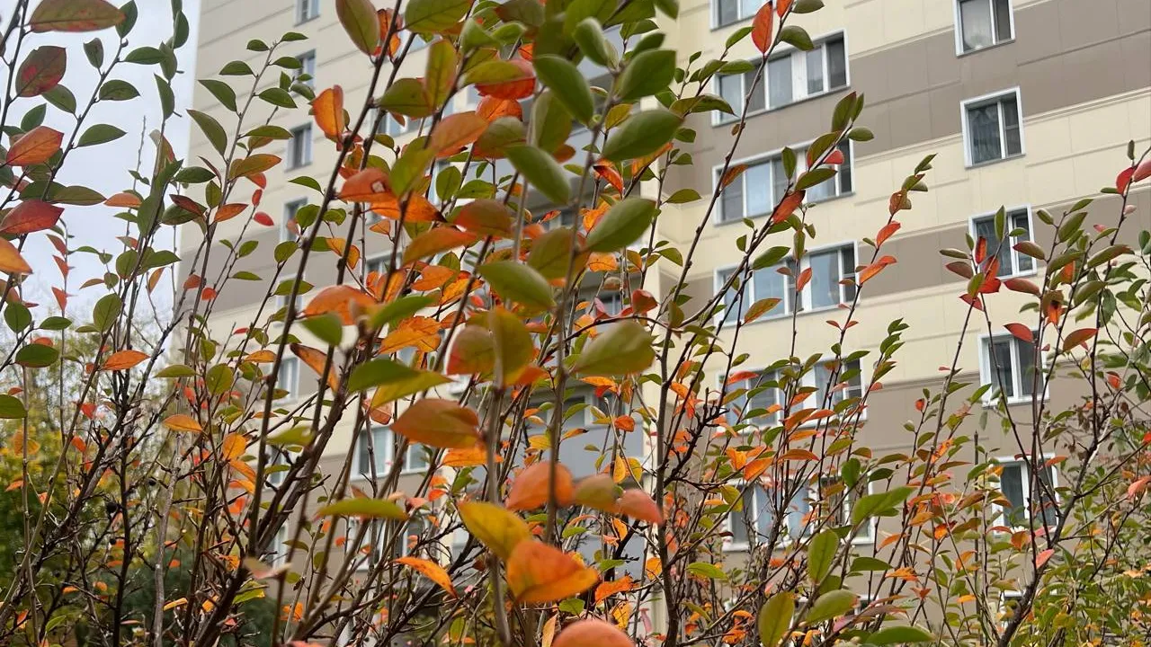 Фото: REGIONS/Татьяна Кордюкова