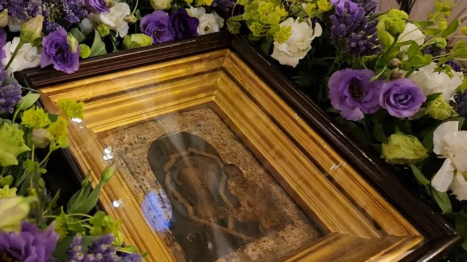 Фото: МедиаБанк Подмосковья/Мария Андрюхина