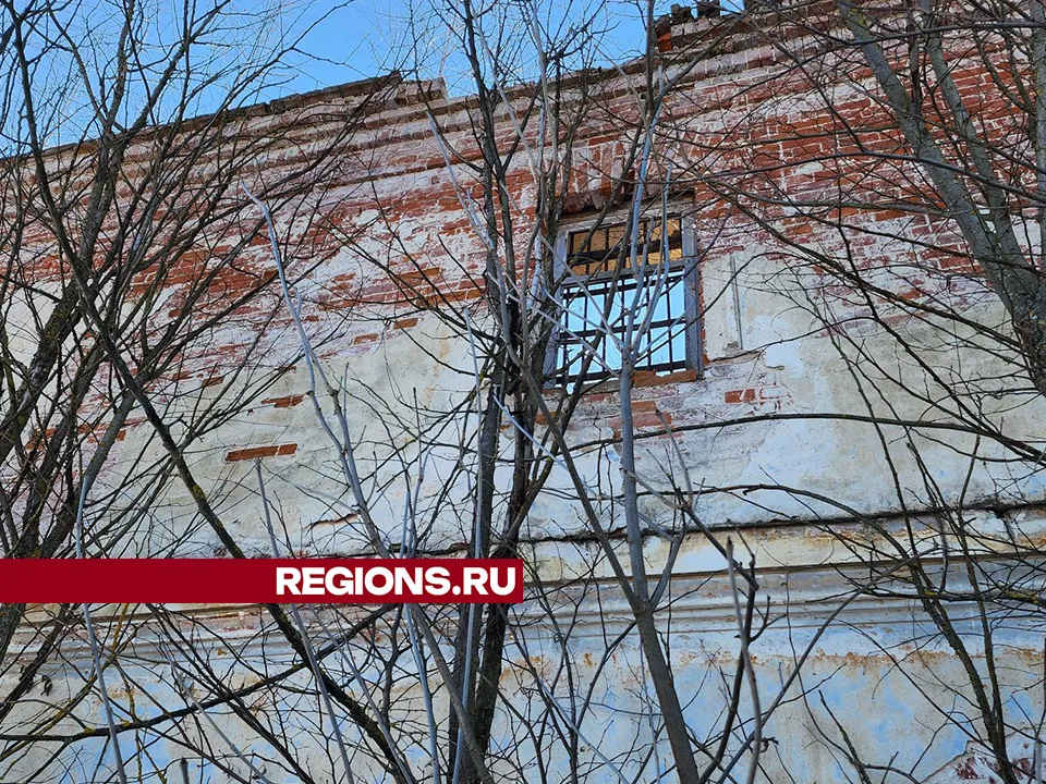 Фото: Андрей Семибратов