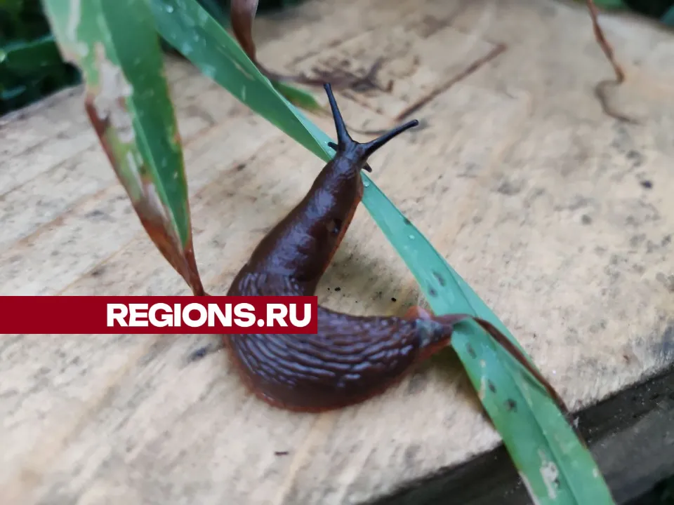 Фото: Екатерина Белякова