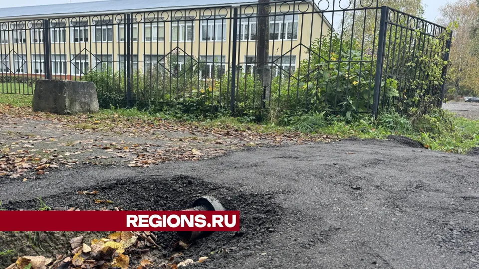 Фото: Татьяна Рунова