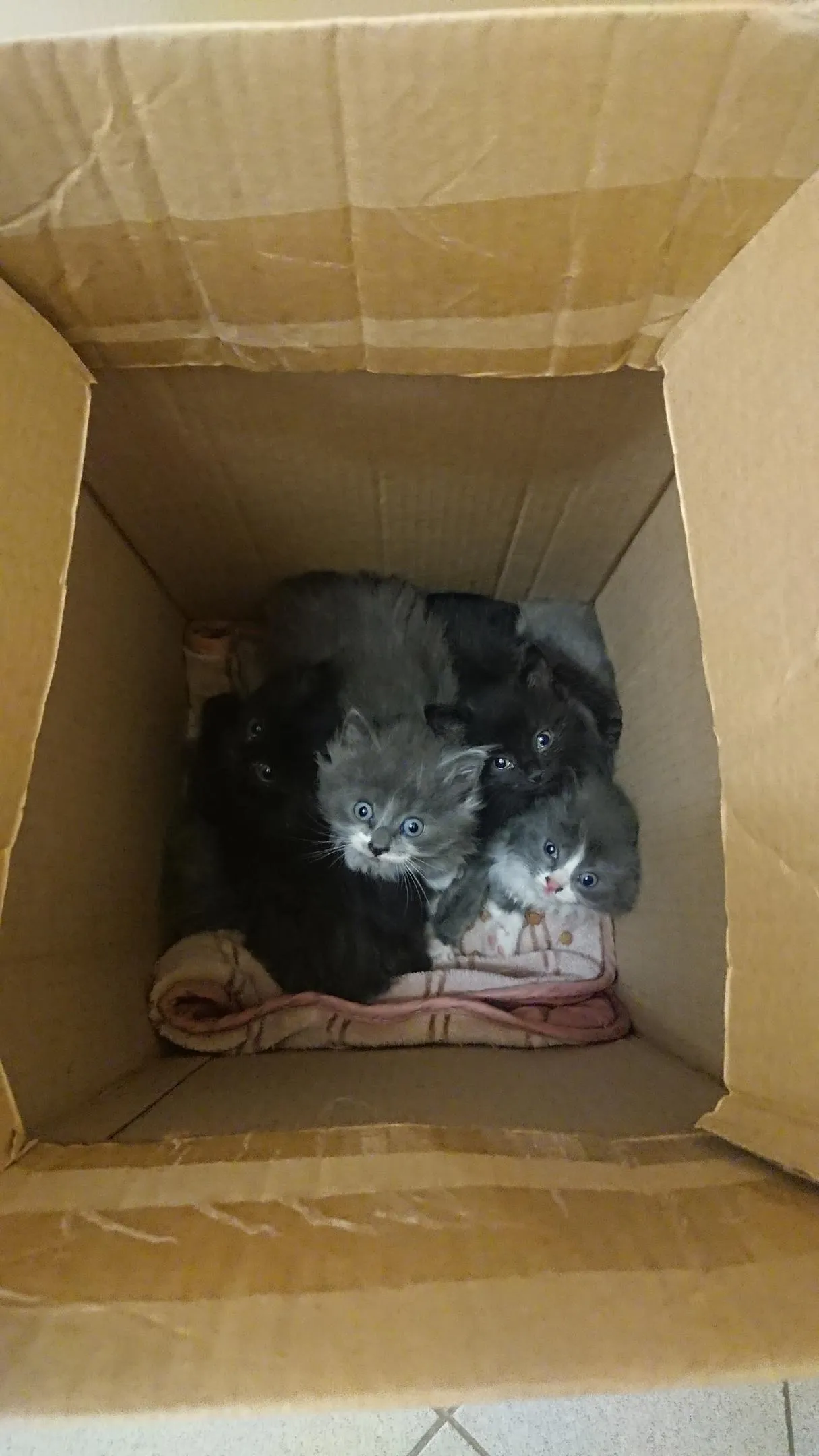 Фото: Подслушано на Глебовке (новая) / ВКонтакте