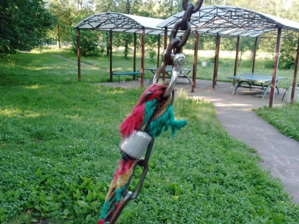 Фото: пресс-служба администрации г.о. Солнечногорск