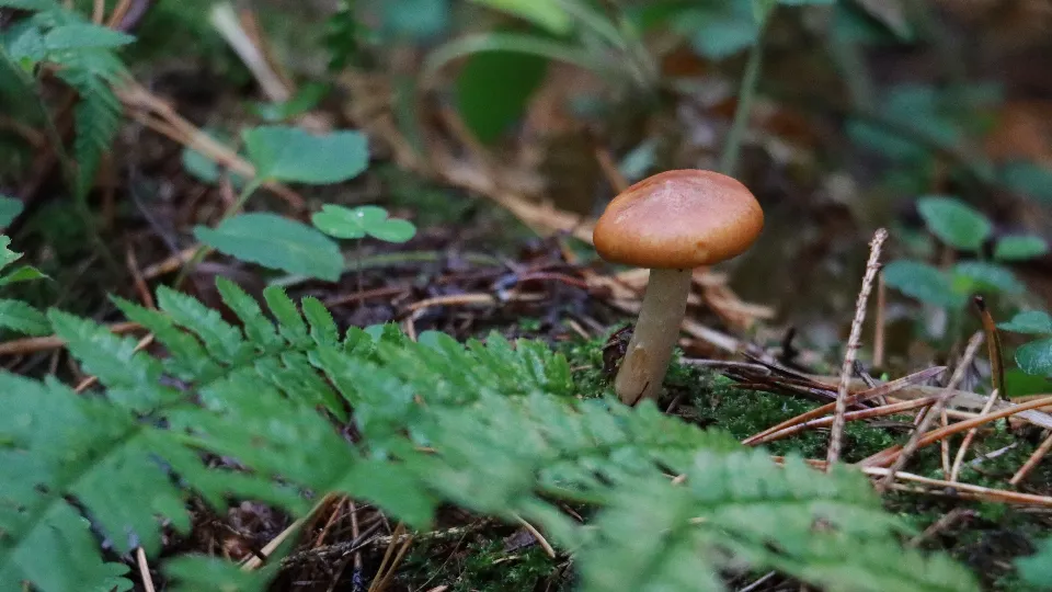 Фото: МедиаБанк Подмосковья/Андрей Алекин