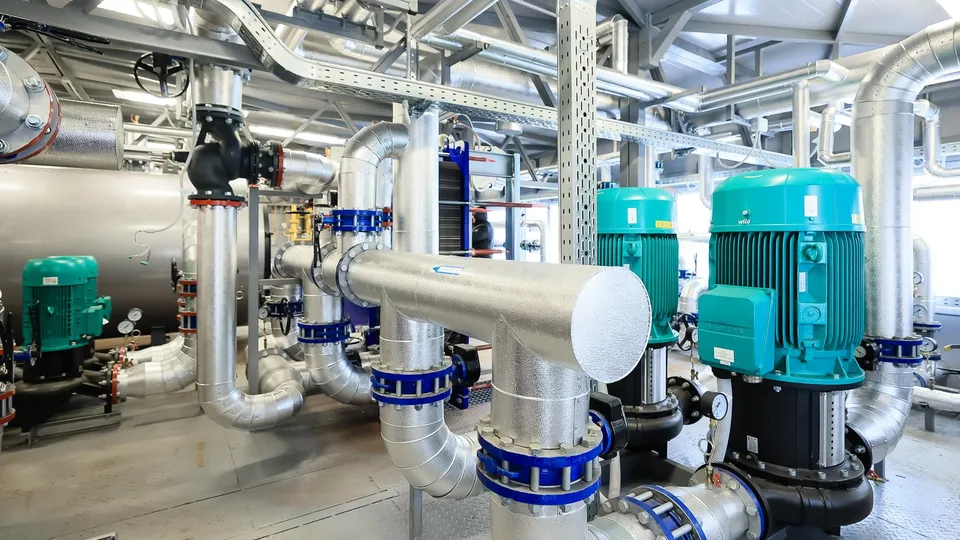 Фото: Медиаархив Подмосковья