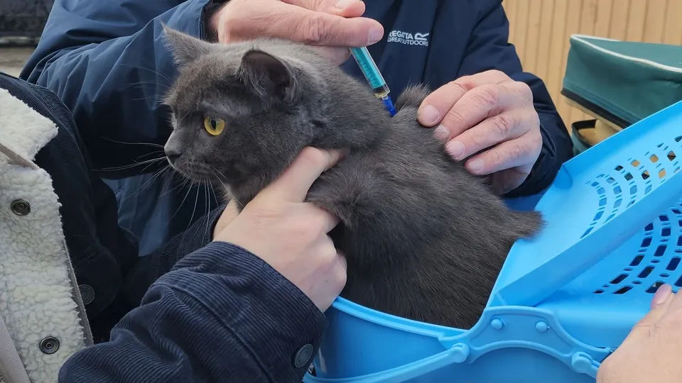 Фото: МедиаБанк Подмосковья/Максим Сафронов