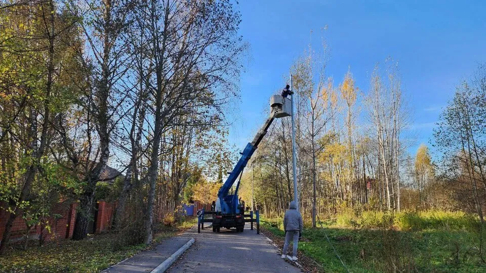 Фото: Министерство благоустройства Московской области