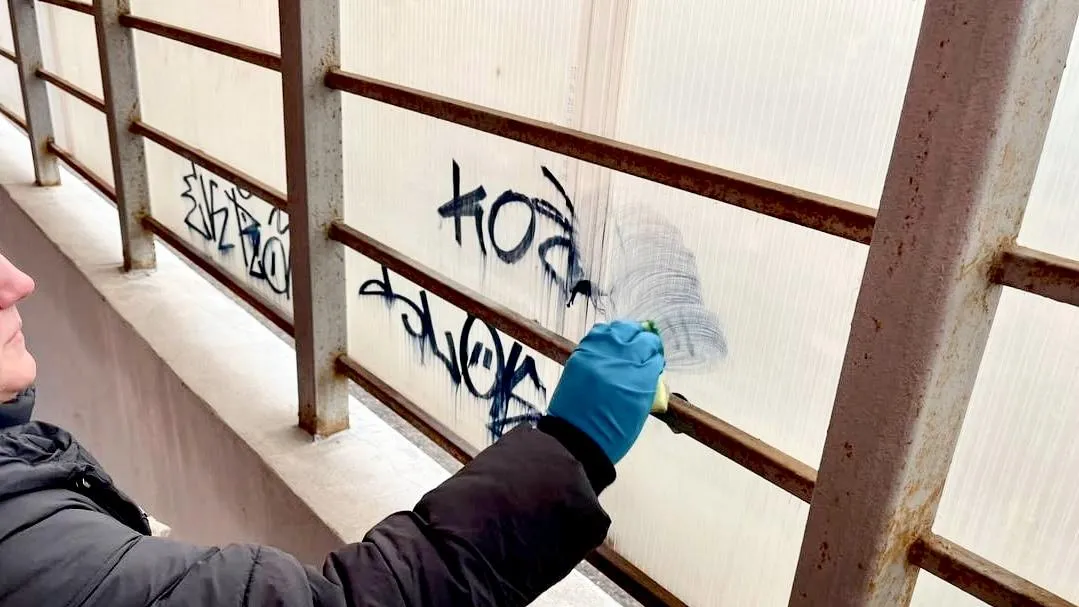 Фото: пресс-служба Министерства по содержанию территорий и государственному жилищному надзору Подмосковья