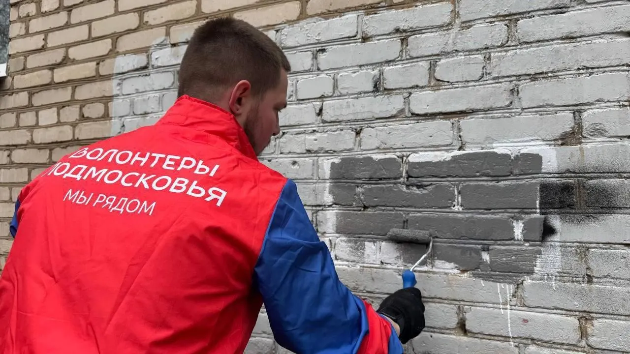 Волонтеры провели в Подольске акцию «Стоп-микс»