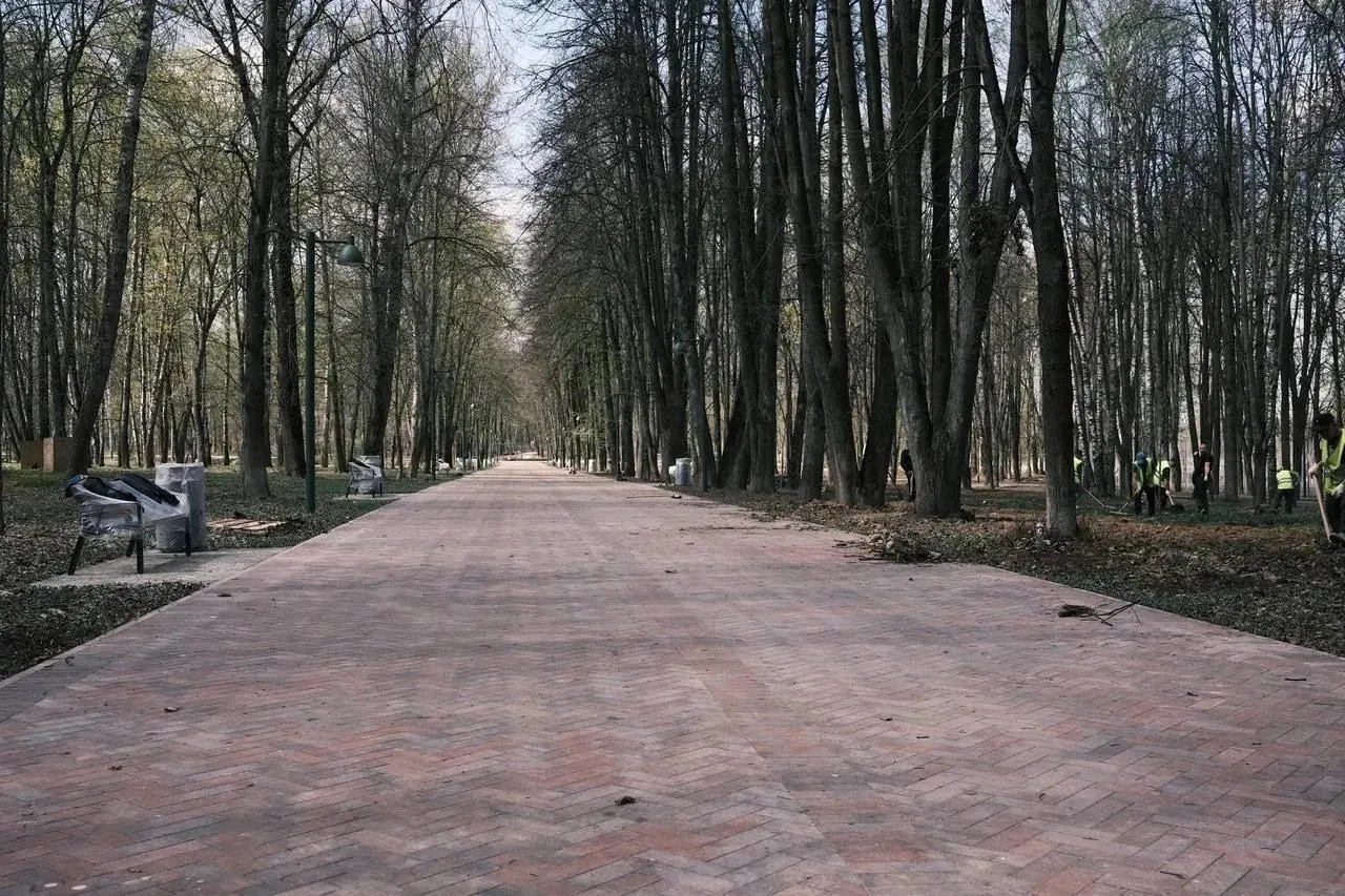 Картинка