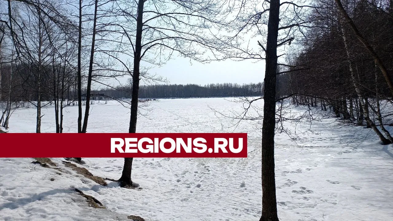 Фото: Олег Книжник