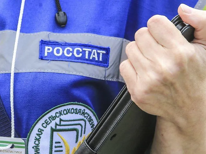 Стало известно, какие данные раскроет Росстат сегодня вечером