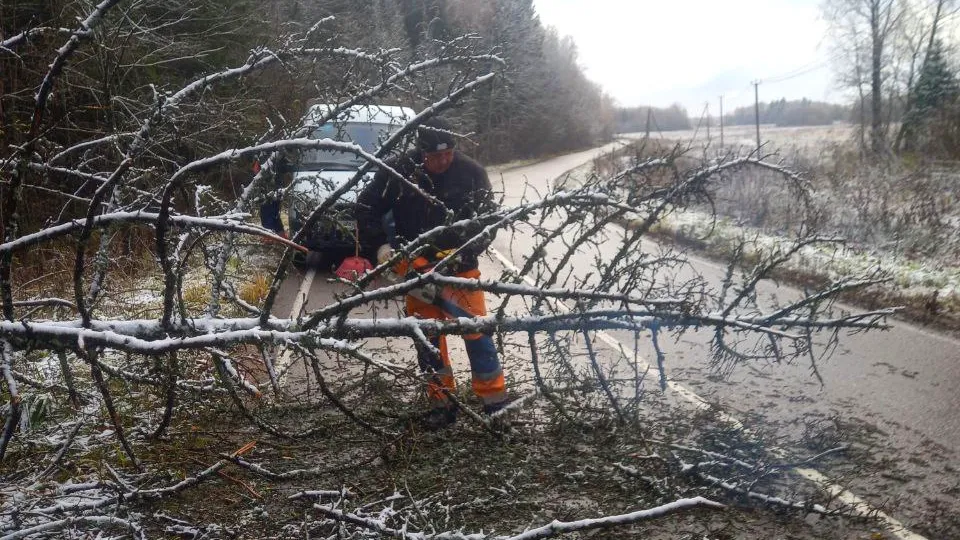Фото: Администрация Рузского г.о.