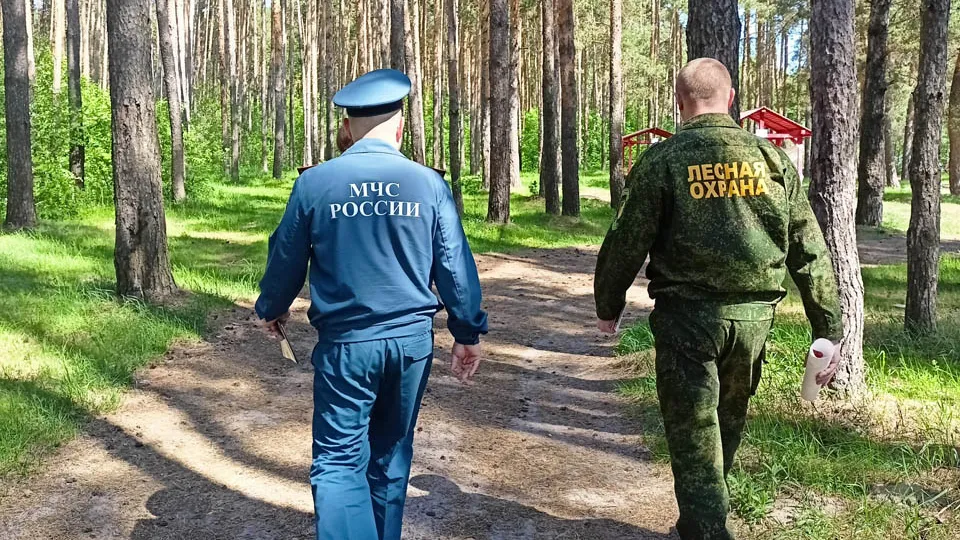 Фото: Комитет лесного хозяйства Московской области