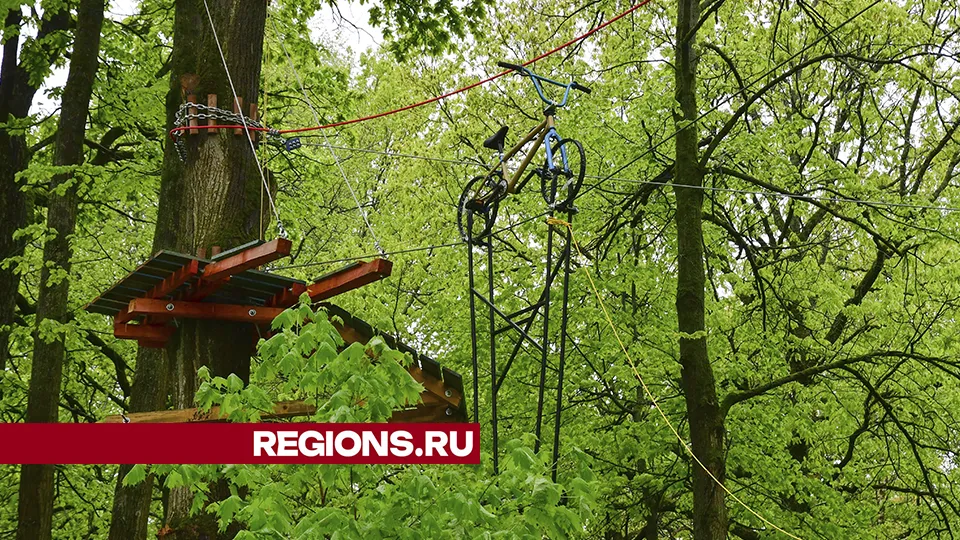 Фото: REGIONS/Наталья Бычкова