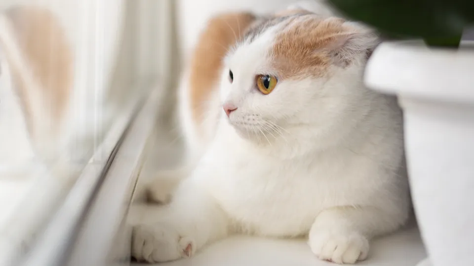 Фото: freepik.com