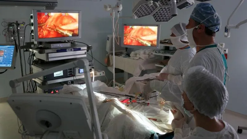 Кирилл Брага / РИА Новости