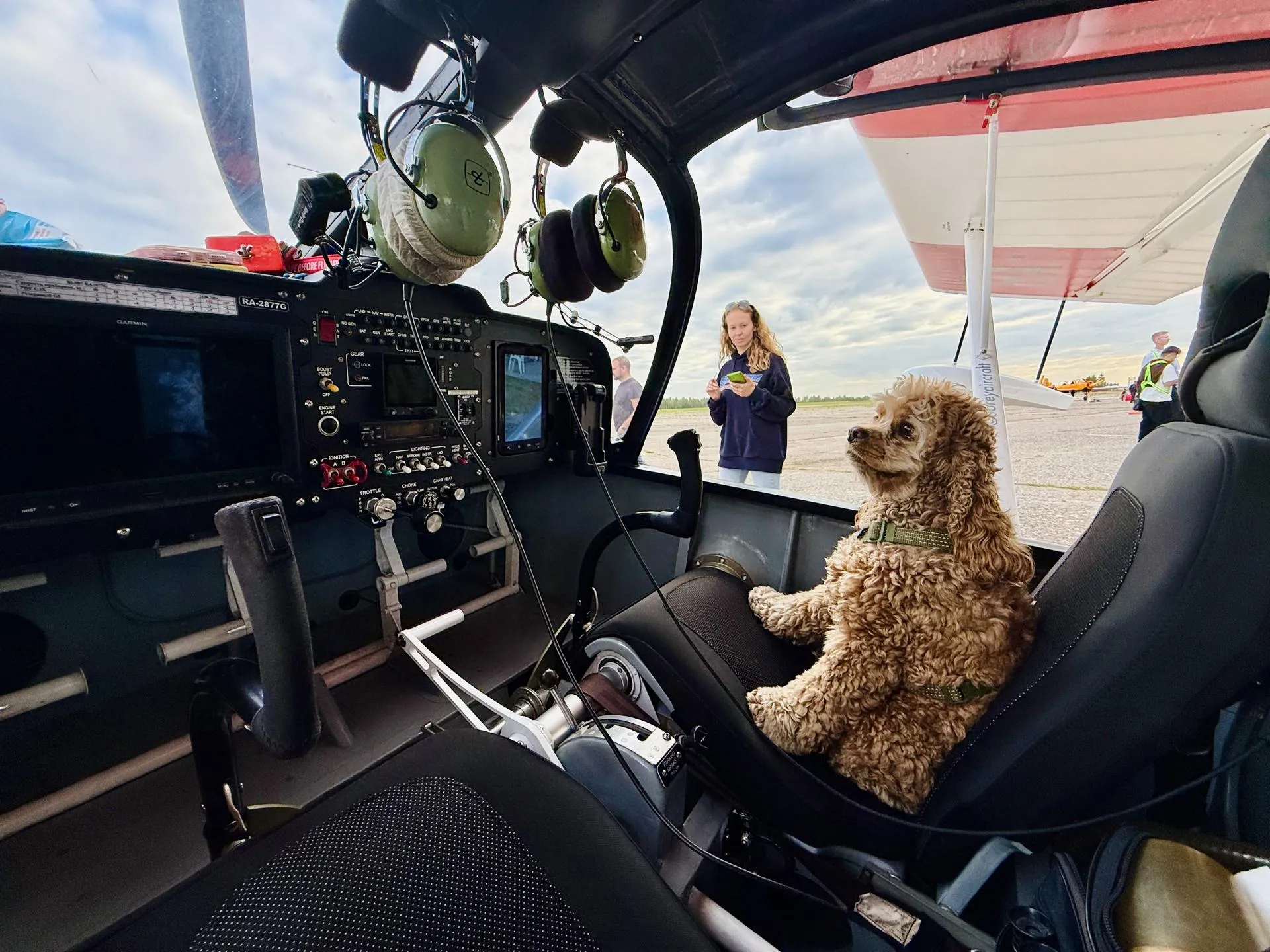 Фото: Медиабанк Подмосковья/Ольга Стаферова