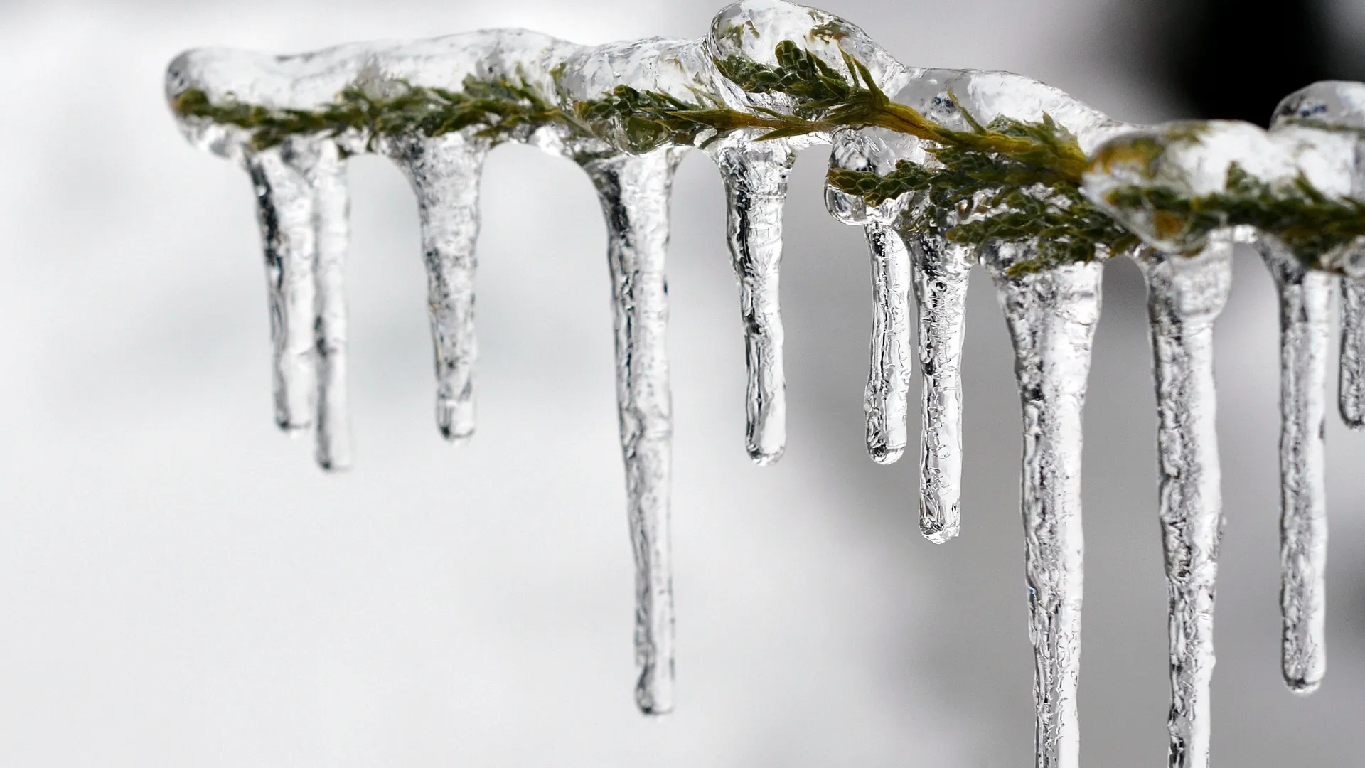 Фото: pxhere.com