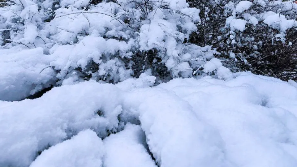 Фото: REGIONS/Роман Малышенко