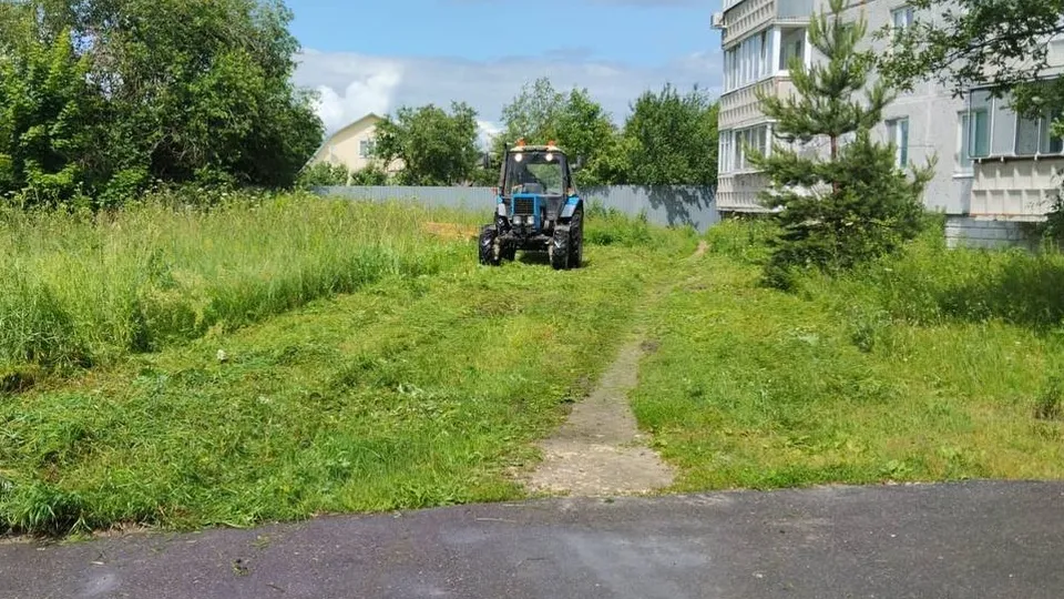 Фото: пресс-служба администрации г.о. Орехово-Зуево