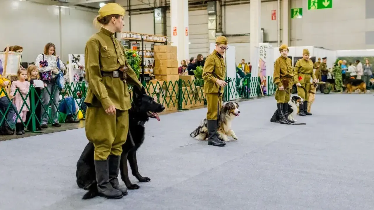 пресс-служба администрации г.о. Долгопрудный