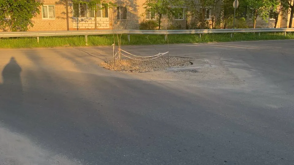 Фото: t.me/klintut