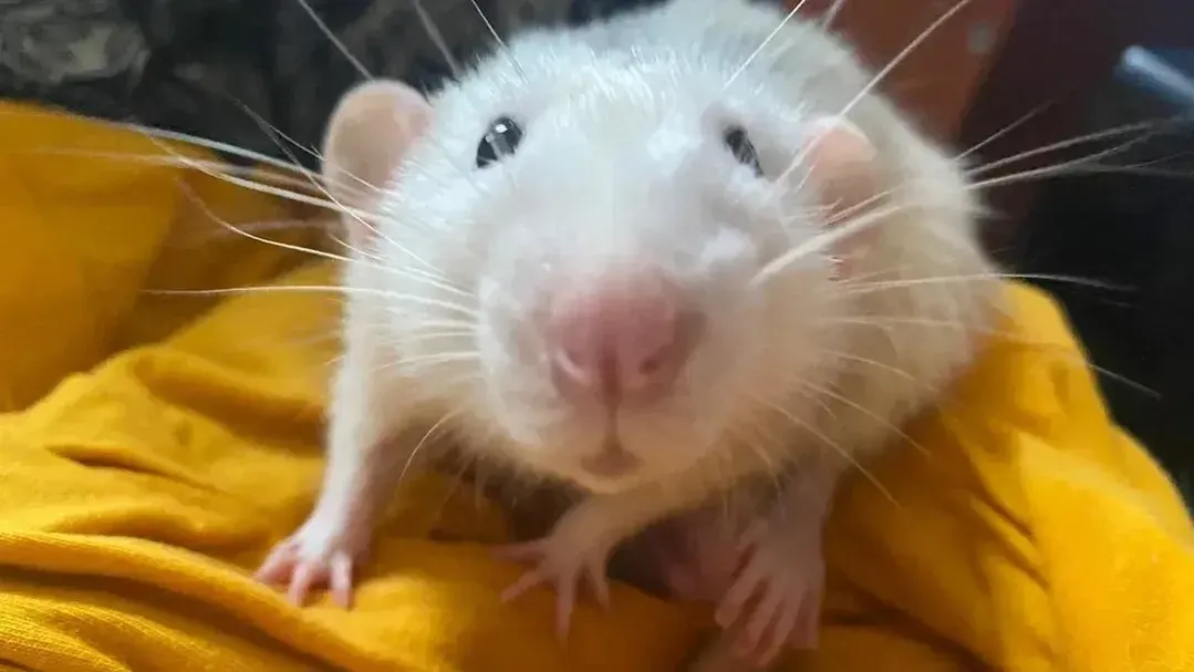 REGIONS/Наталья Надточая