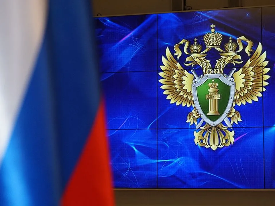 Фото: пресс-служба прокуратуры Московской области&nbsp;