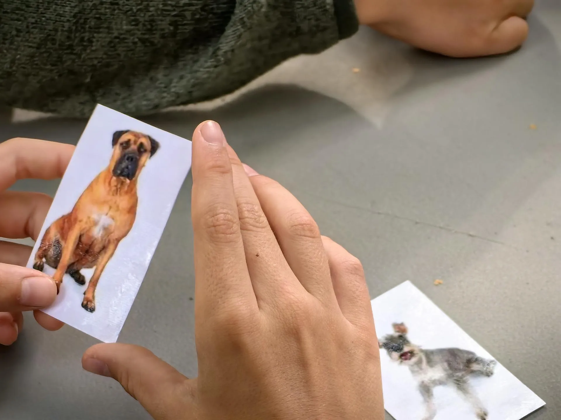 Елена Катасонова