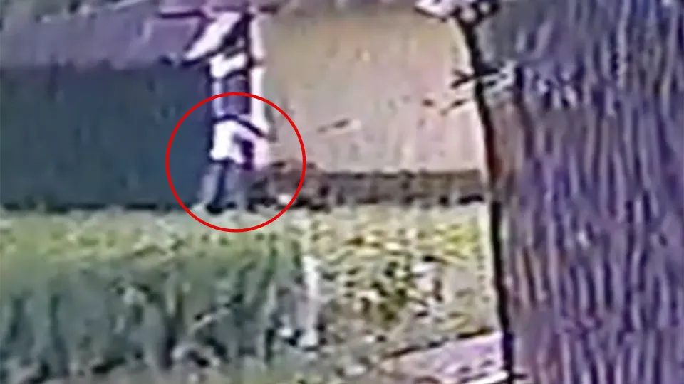 Фото: Росгвардия Московской области