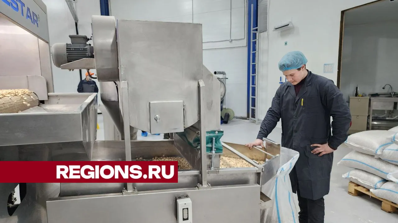 Фото: REGIONS/Елена Лабзина