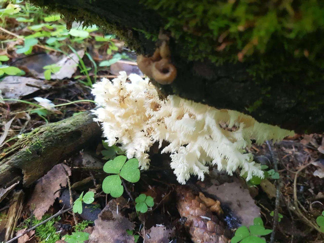 Министерство экологии и природопользования Московской области