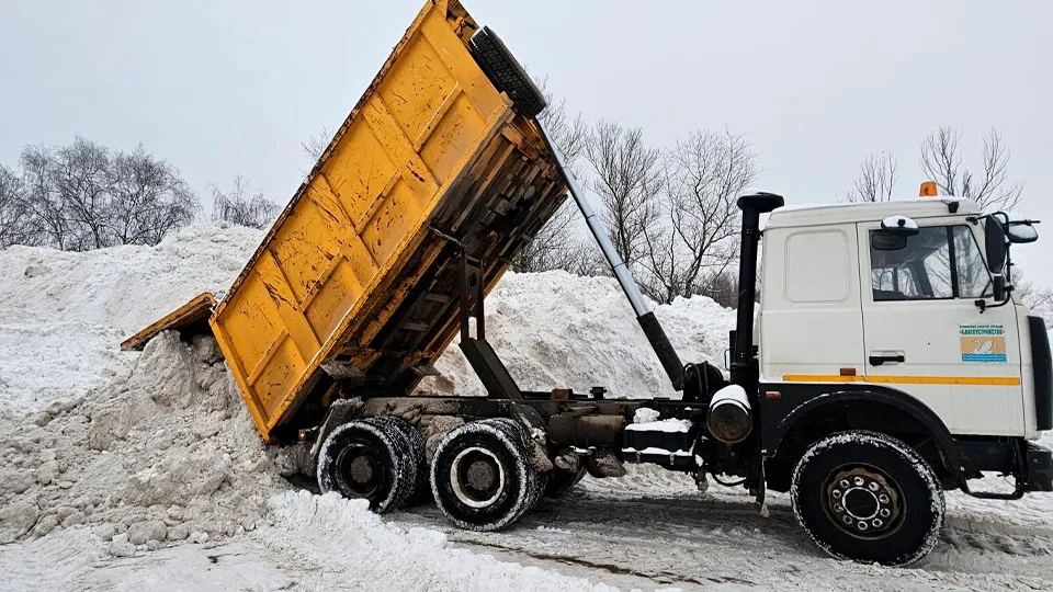 Фото: МедиаБанк Подмосковья/Вероника Горбачева