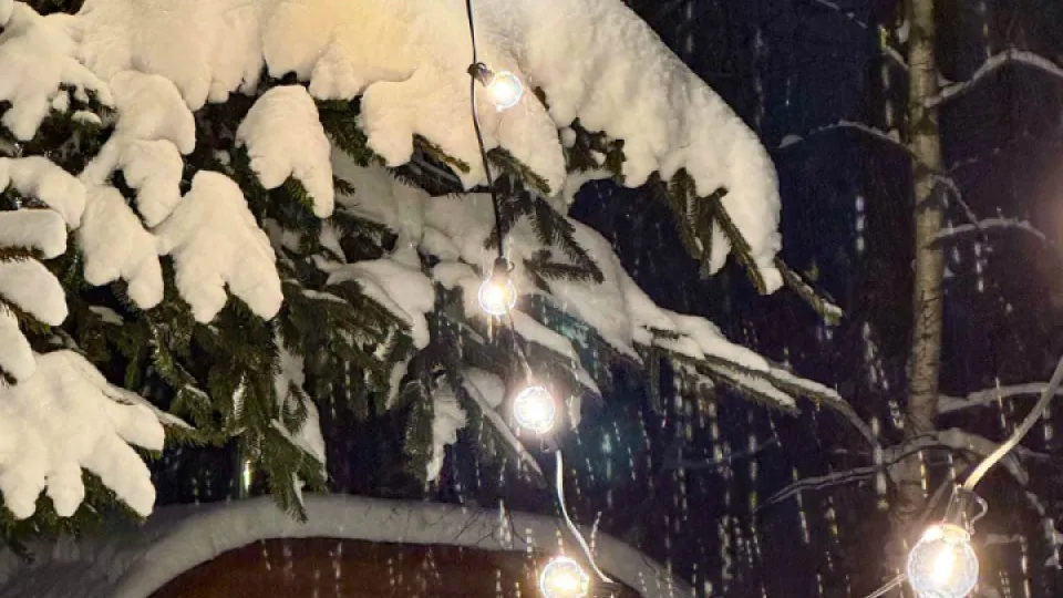 Фото: REGIONS/Владимир Ерастов