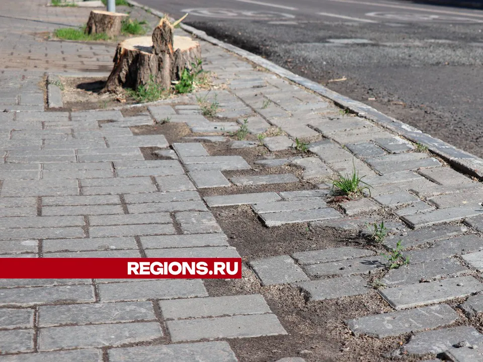 Фото: REGIONS/Василий Тремасов