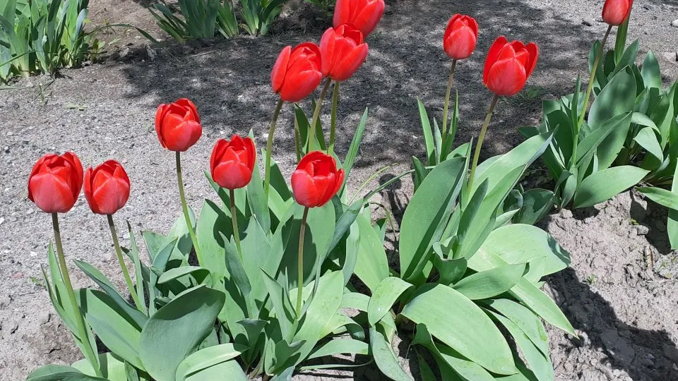 Фото: REGIONS/Татьяна Замятина