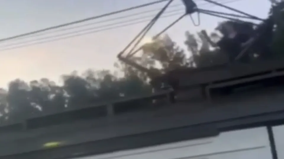 Фото: vk.com/ЧП Электросталь и Ногинск