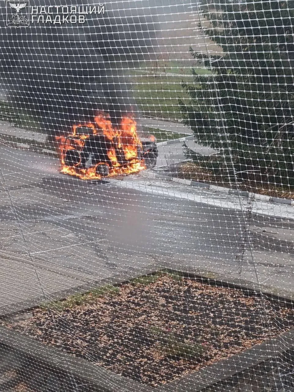 Губернатор Белгородской области Вячеслав Гладков